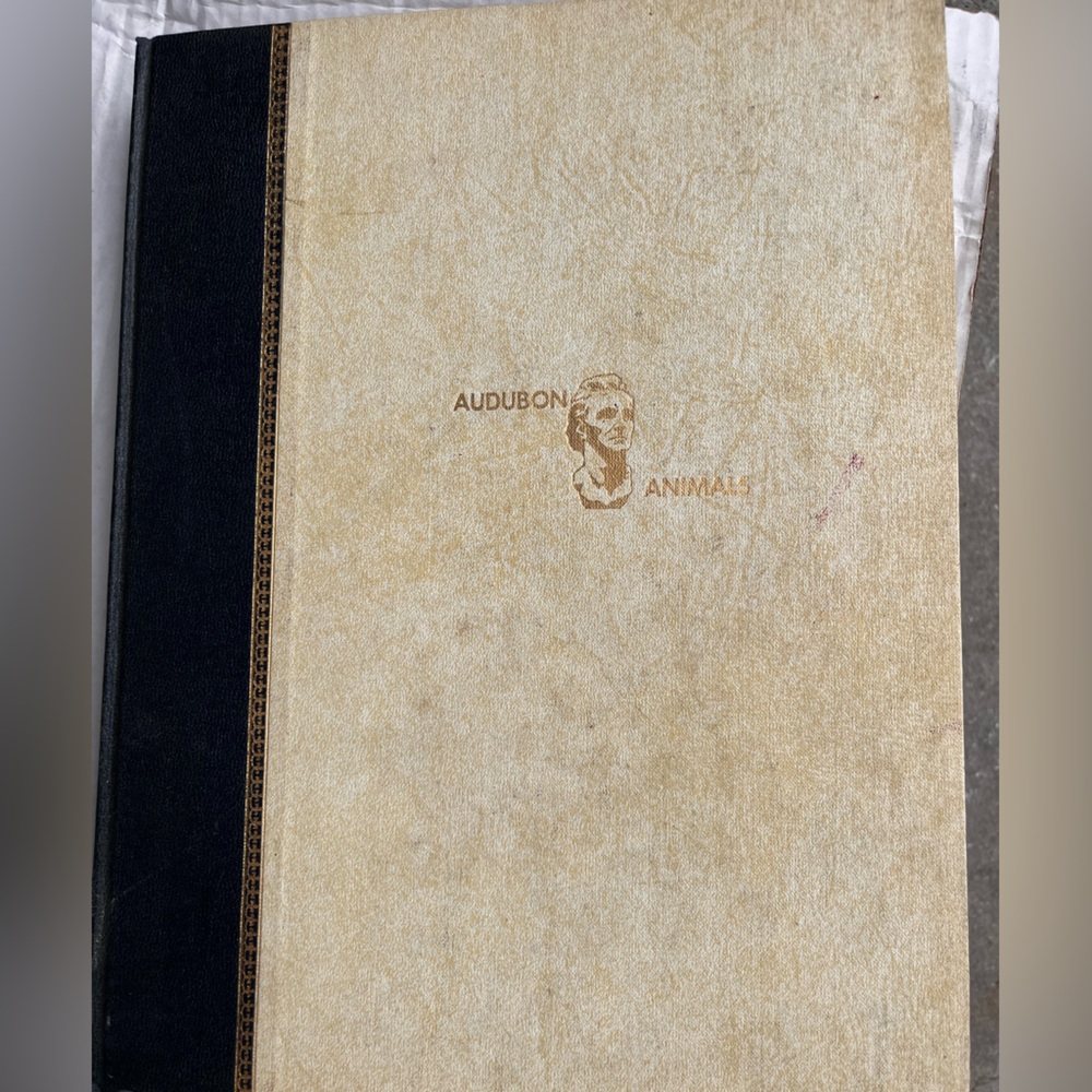 Animals Book - Black and Cream